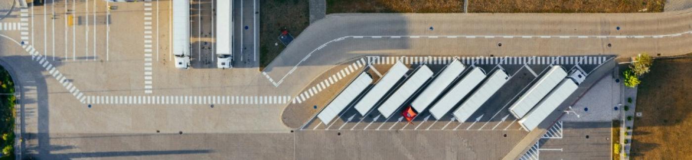 Manifestazione PROWEIN