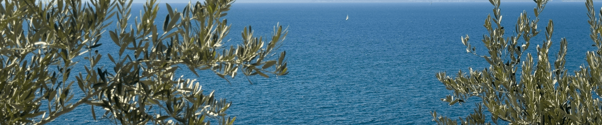mare & ulivi